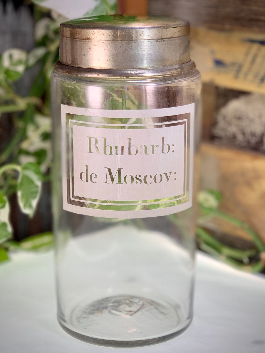Pot à pharmacie ou d'apothicaire en verre, Rhubarb: de Moscov: